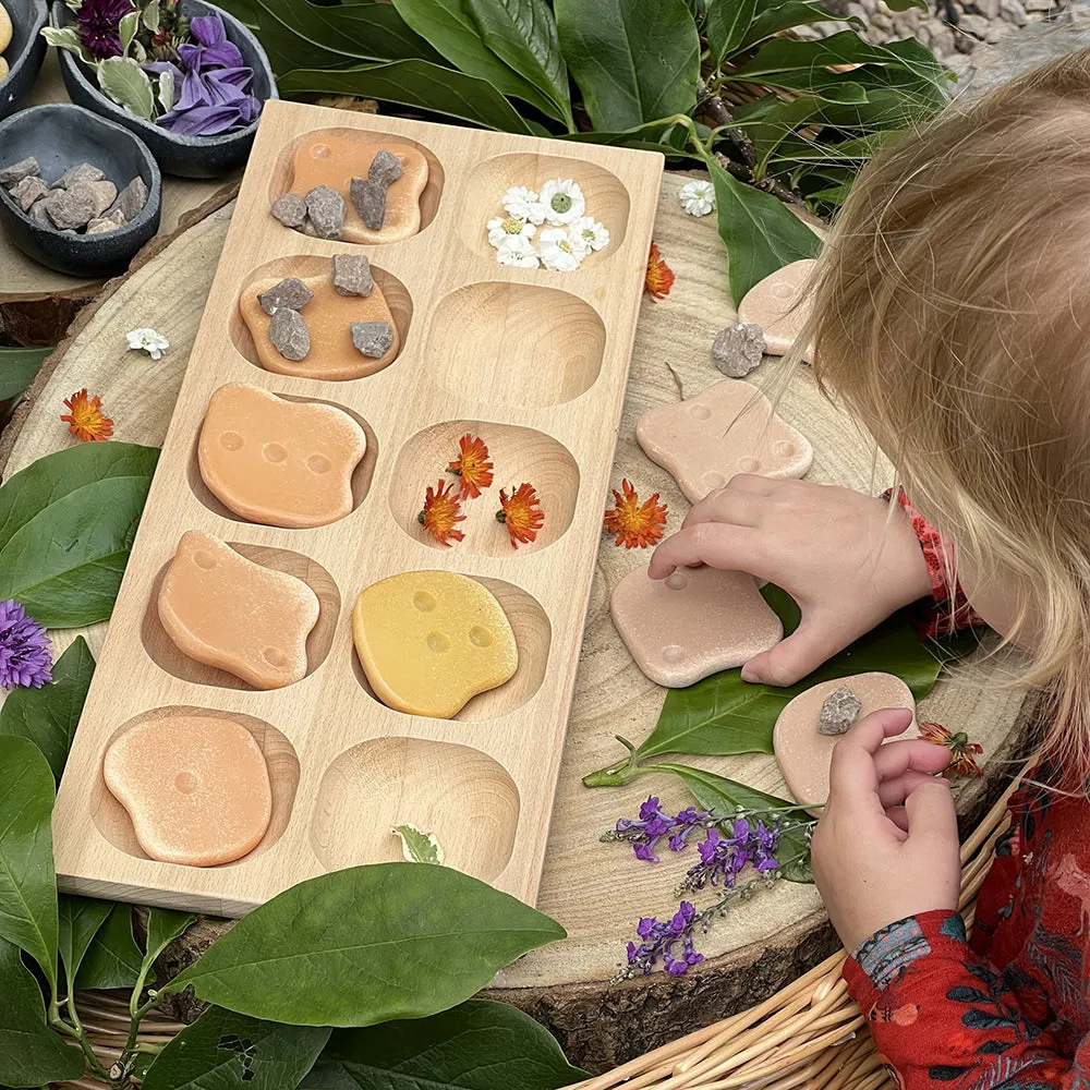 10-Frame Tray