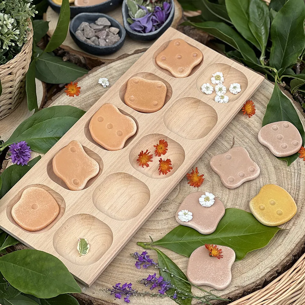 10-Frame Tray