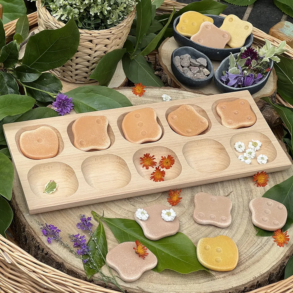 10-Frame Tray