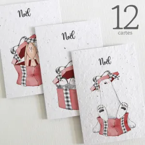 12 Plantable Christmas Cards - Christmas Presents