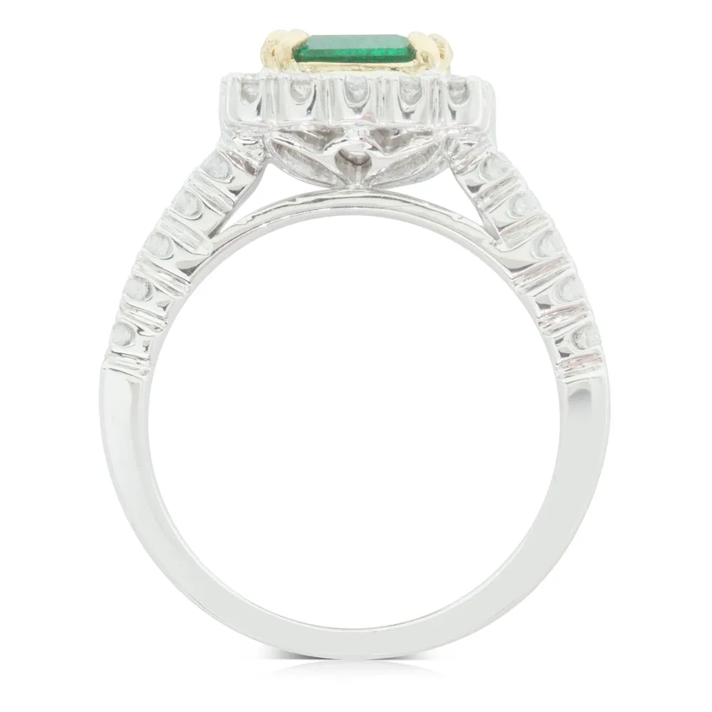 18ct White Gold Emerald & Diamond Halo Ring