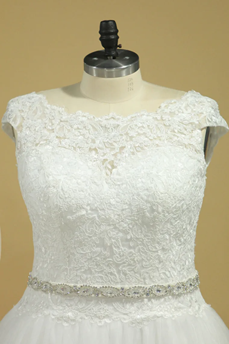 2024 Plus Size Wedding Dresses A-Line Bateau Court Train V-Back Tulle