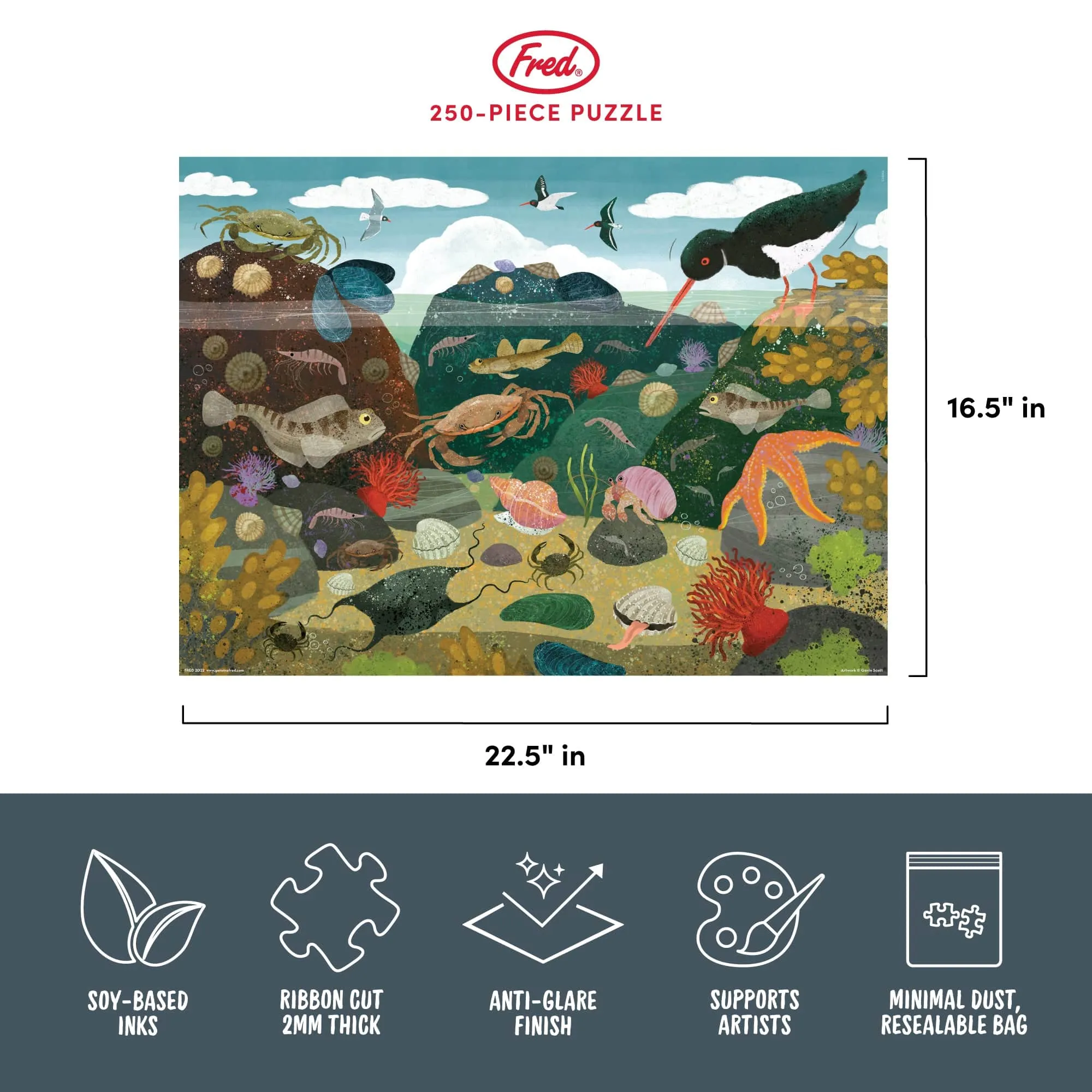 250 PIECE PUZZLE: ROCK POOL