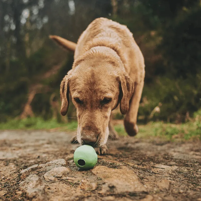 Beco Eco Natural Rubber Bouncy Dog Ball - Green