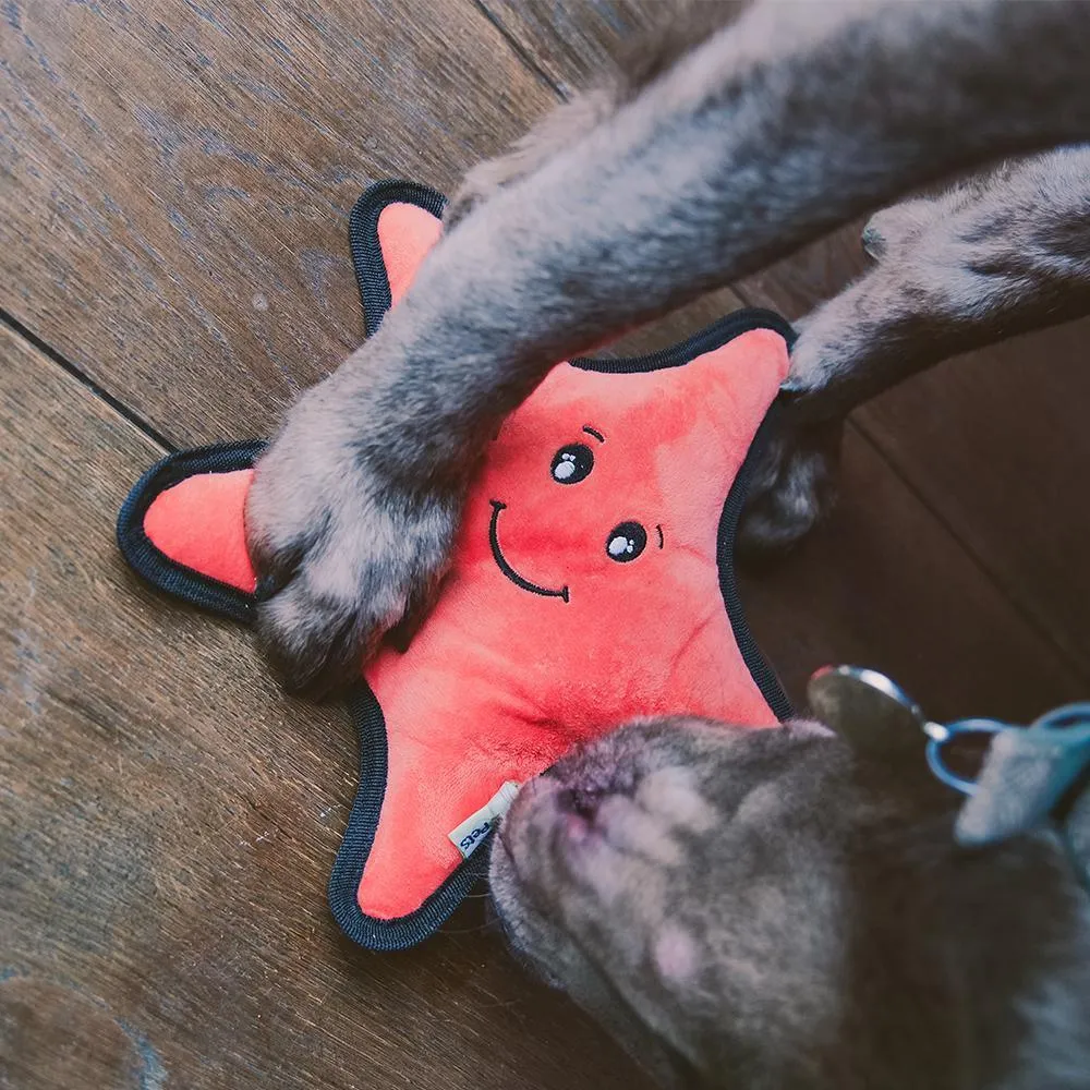 Beco Eco Recycled  Dog Toy- Sindy The Starfish