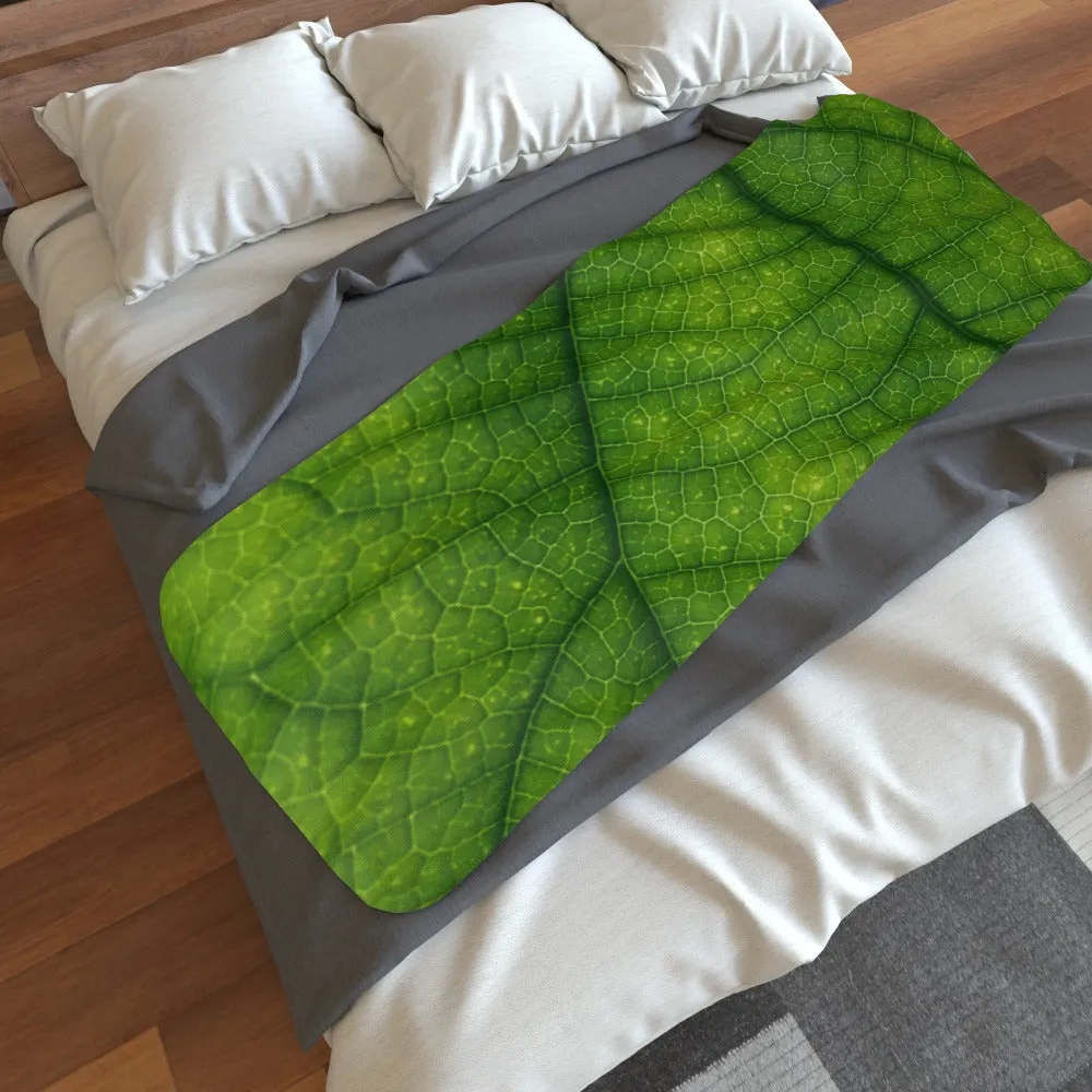 Blanket Scarf - Leaf
