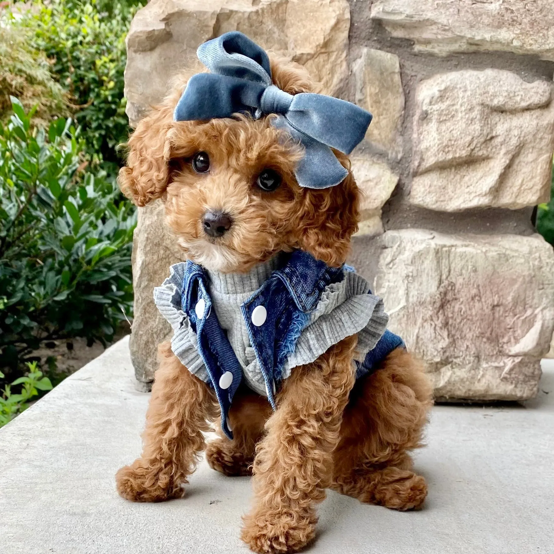 Blue Denim Vest