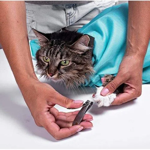 Cat Carrier Pouch Bag