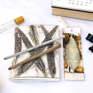 Eco-friendly Stationery Box