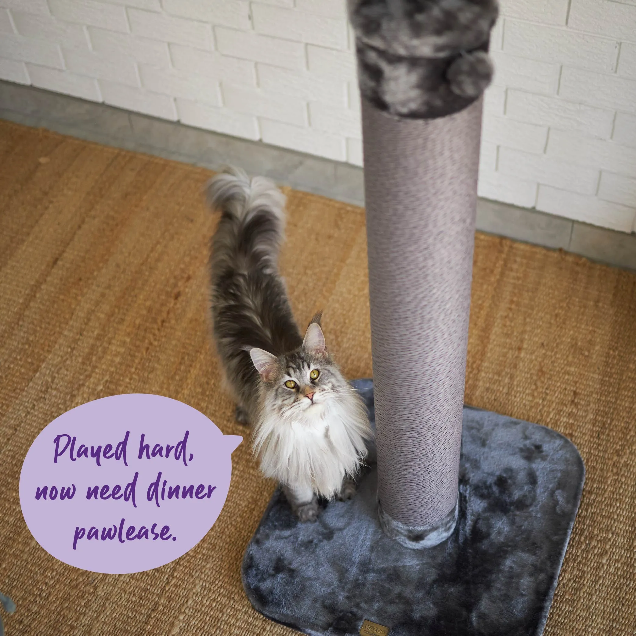 Eco Kitty Scratch Post in Charcoal - Large