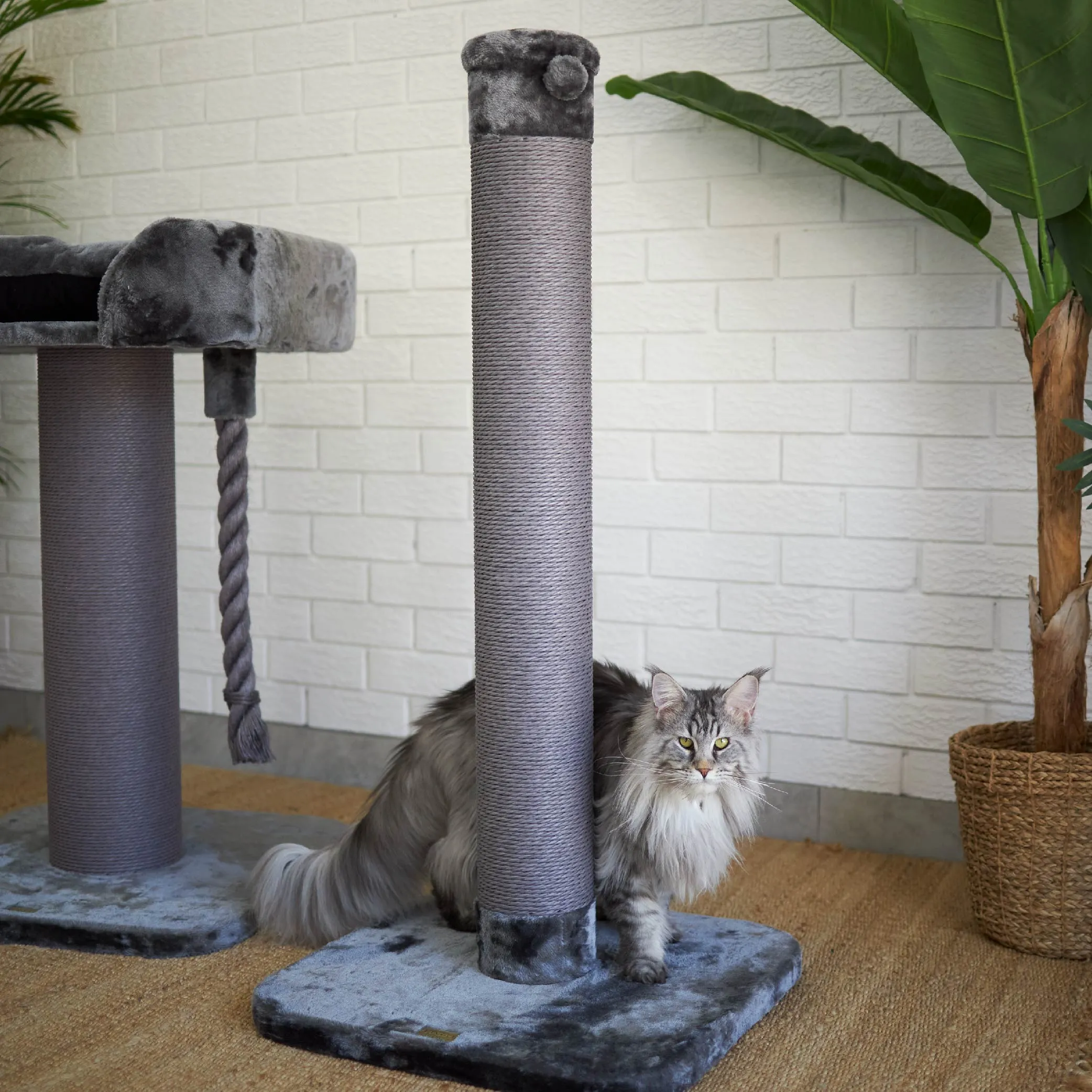 Eco Kitty Scratch Post in Charcoal - Large