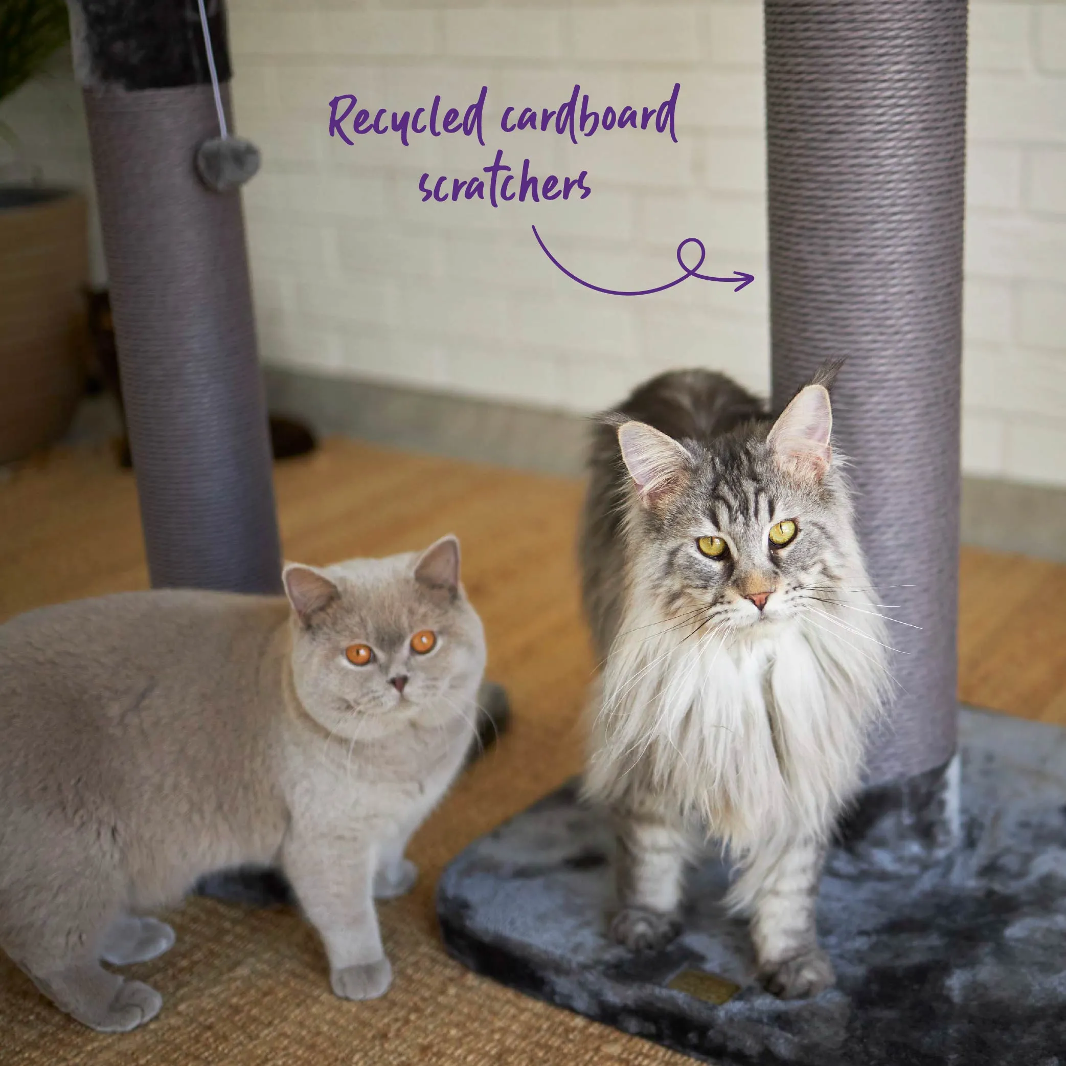 Eco Kitty Scratch Post in Charcoal - Large