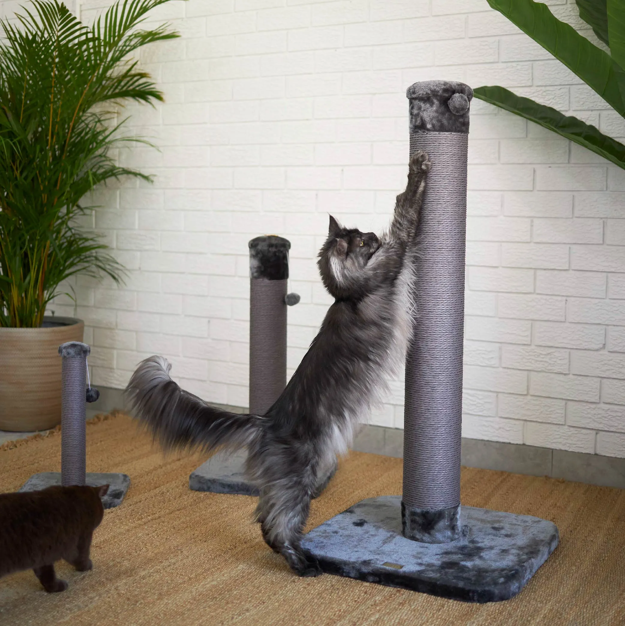Eco Kitty Scratch Post in Charcoal - Large