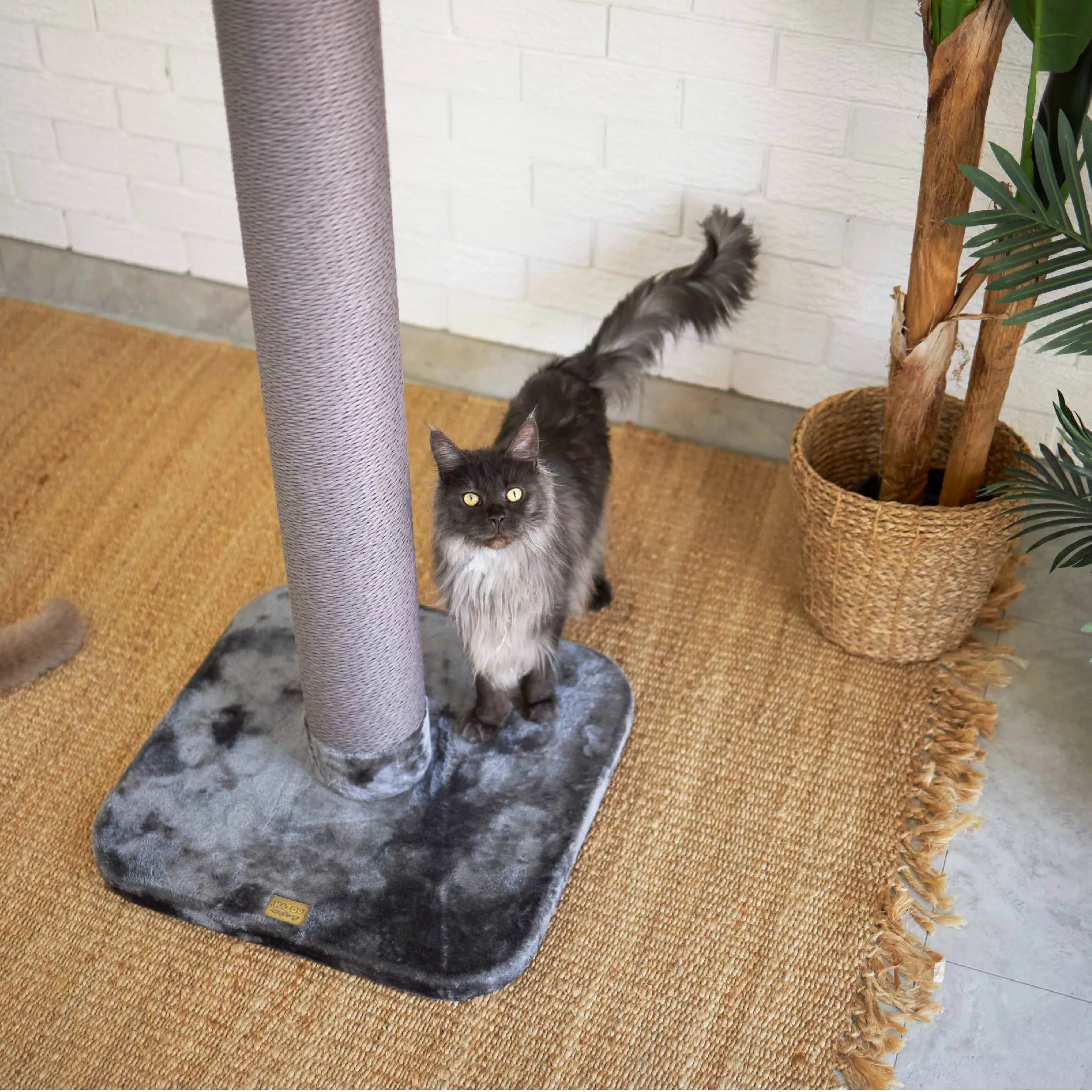 Eco Kitty Scratch Post in Charcoal - Large
