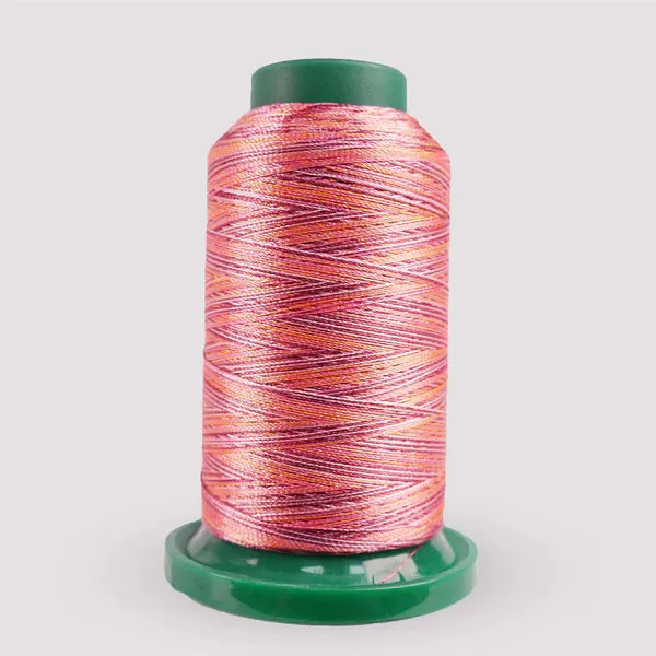 Exquisite Medley Variegated Thread - Summer Berries 1000M V107