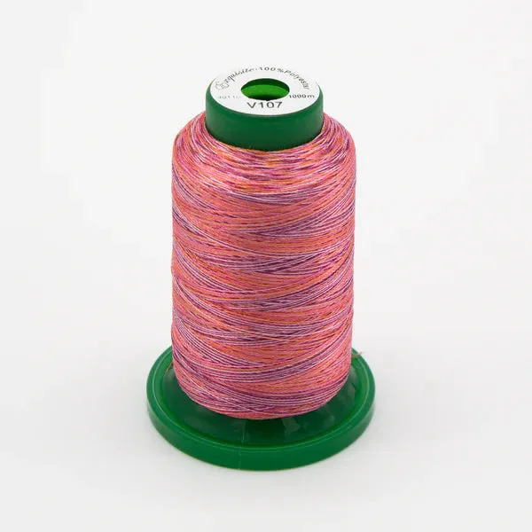 Exquisite Medley Variegated Thread - Summer Berries 1000M V107