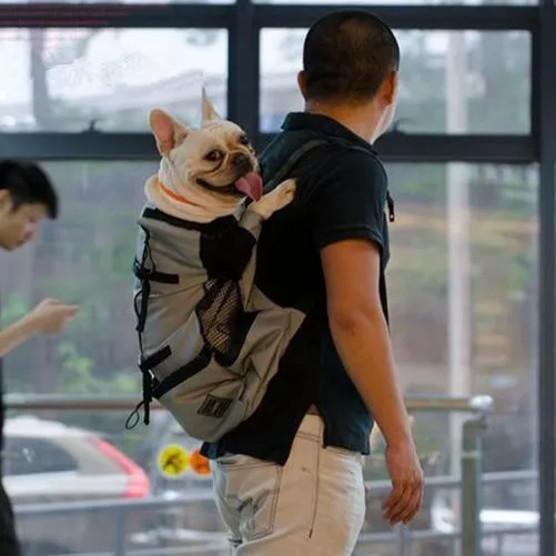 Hands free bag for all dogs max 88lbs