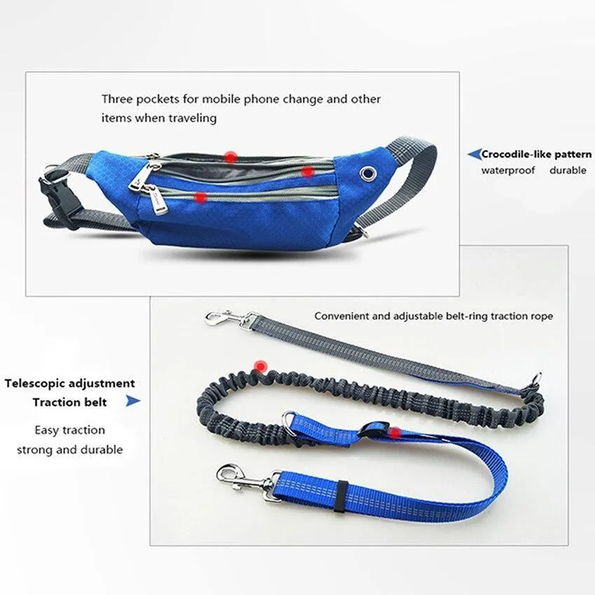 Hands Free Dogs Leash