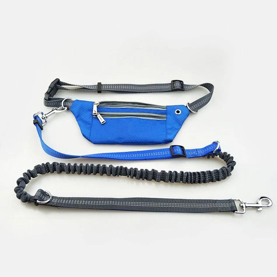 Hands Free Dogs Leash