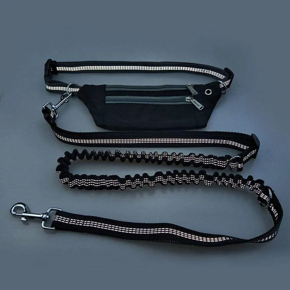 Hands Free Dogs Leash