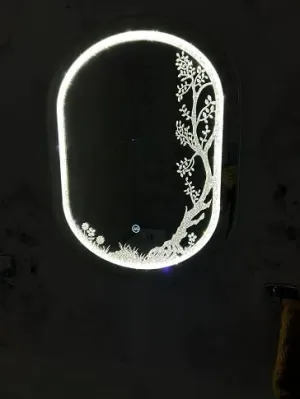 HIMANS Diamond Capsule Shaped Led Mirror with Touch Sensor. Silver Light Silver Mirror.Stunning Home Diamond Decor Mirror.