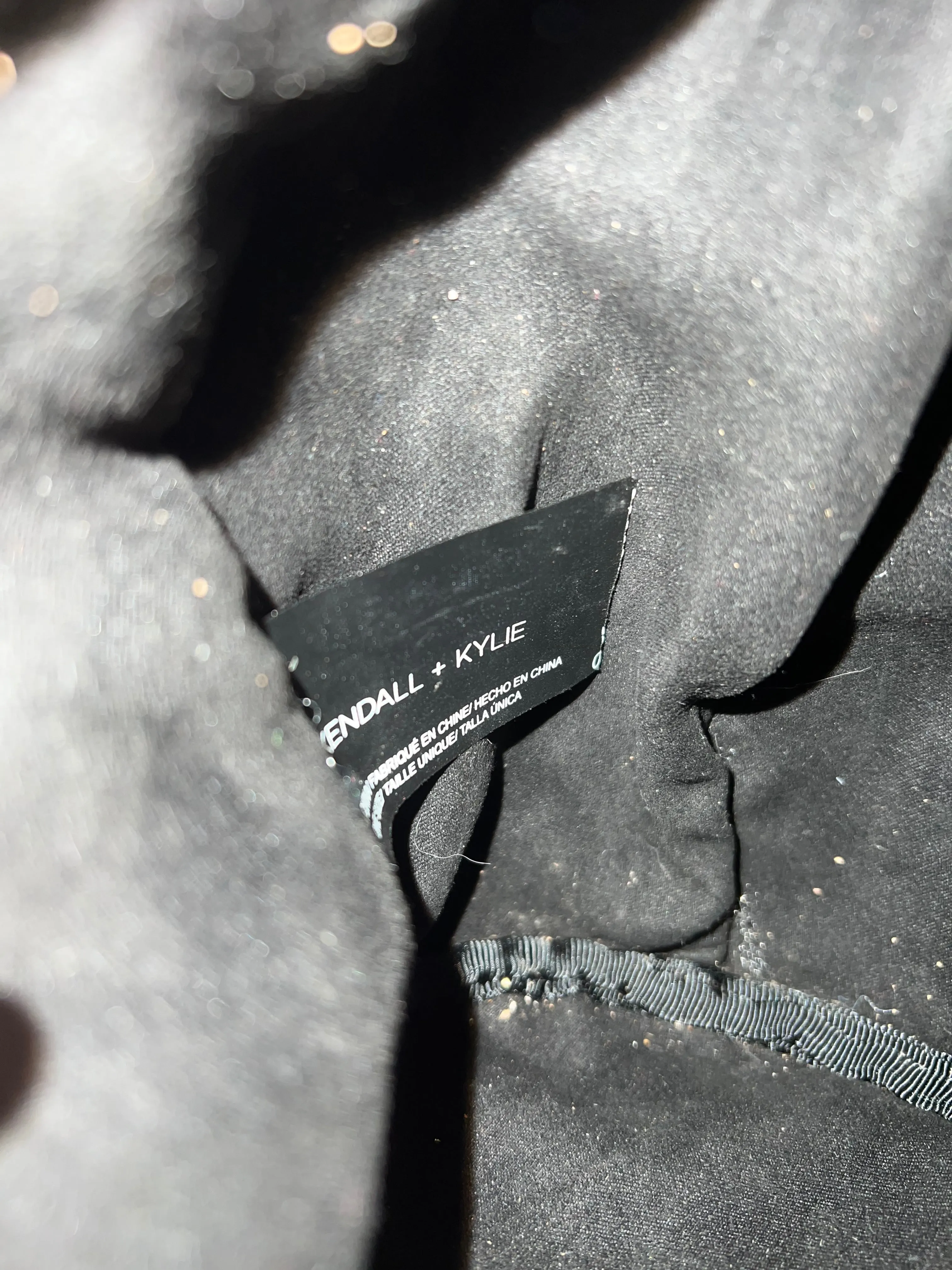 Kendall   Kylie 2010’s ‘Normie’ dog backpack