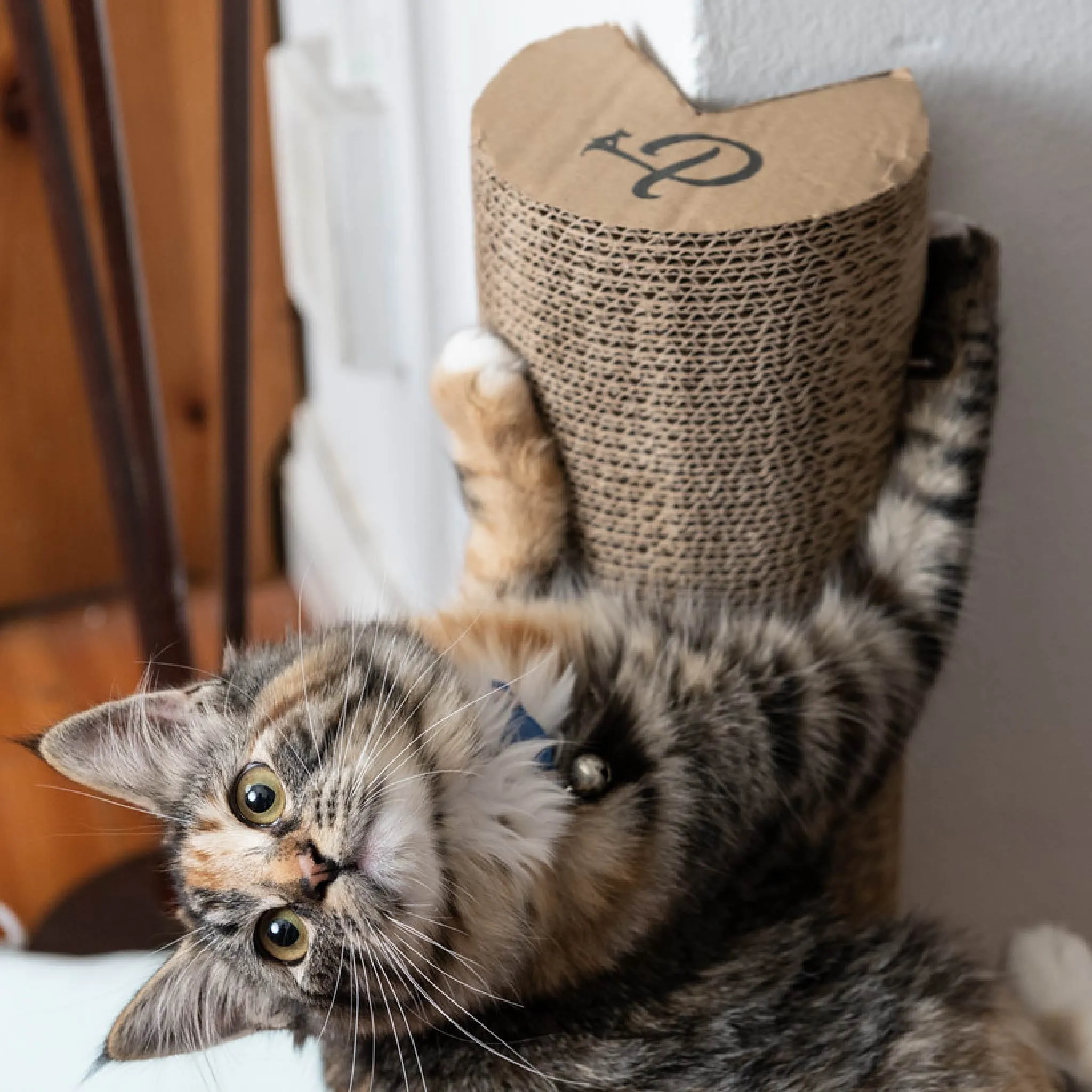 Kitty Corner Cat Scratching Post (2 Pieces): Eco-Friendly, Sustainable, Compostable, Non-Toxic, Double Stick Foam Tape Included, Durable Cardboard, Patented, for Cats