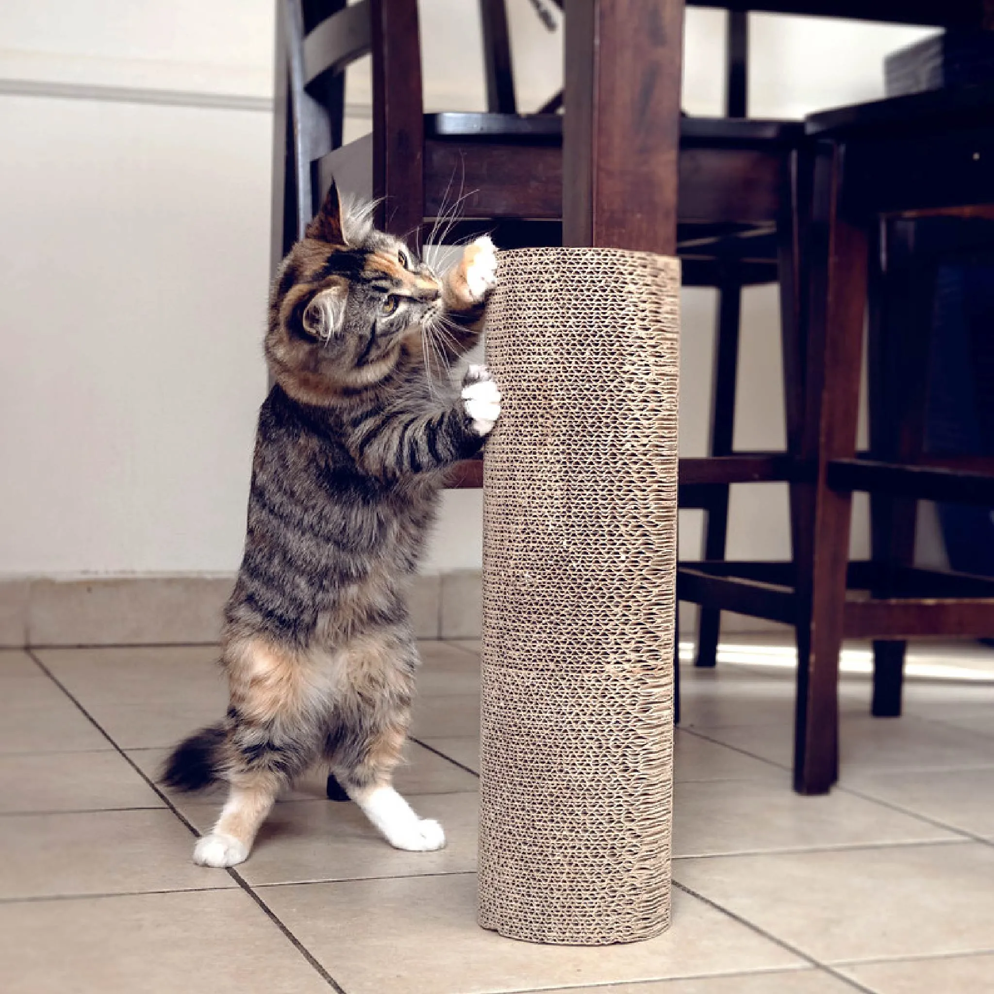 Kitty Corner Cat Scratching Post (2 Pieces): Eco-Friendly, Sustainable, Compostable, Non-Toxic, Double Stick Foam Tape Included, Durable Cardboard, Patented, for Cats