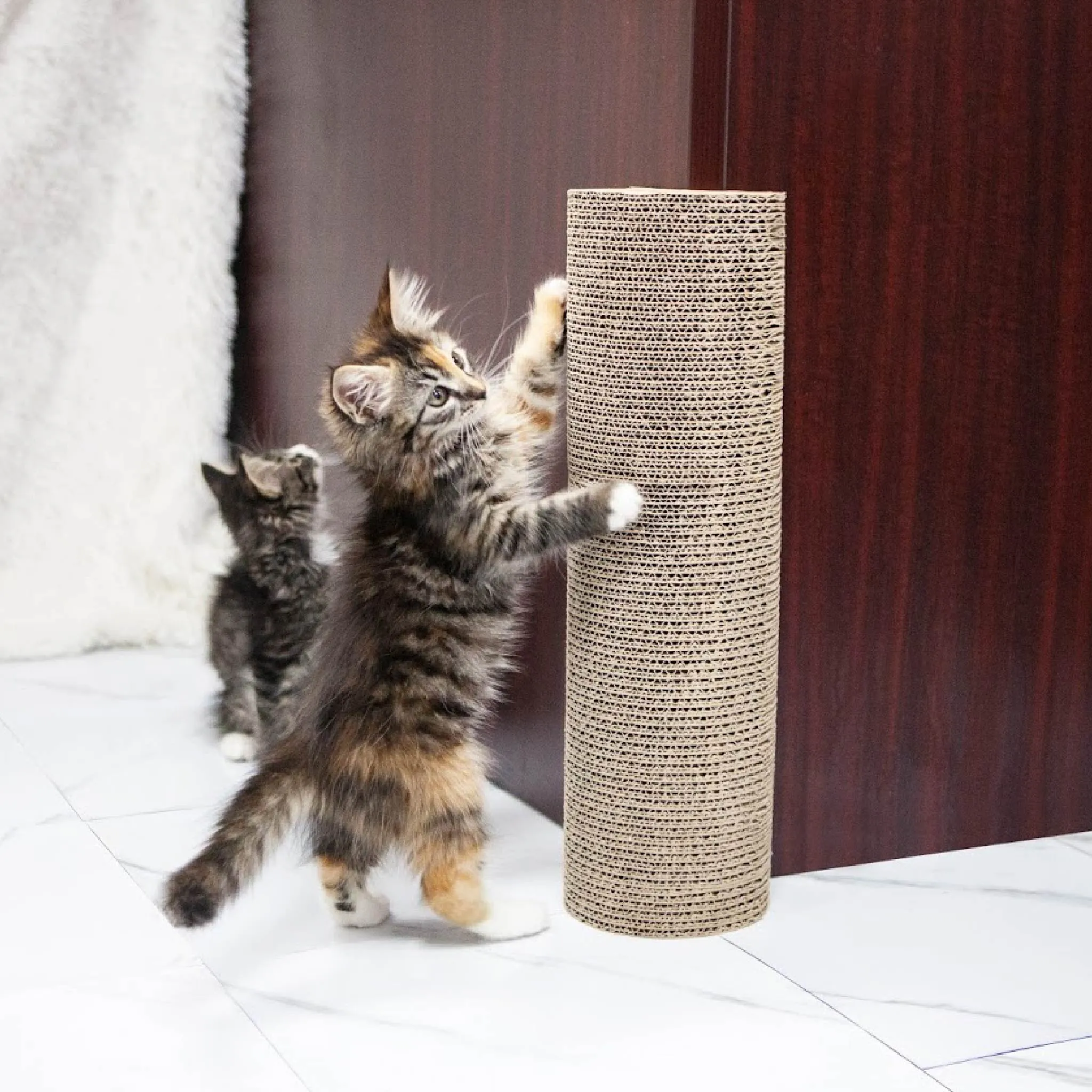 Kitty Corner Cat Scratching Post (2 Pieces): Eco-Friendly, Sustainable, Compostable, Non-Toxic, Double Stick Foam Tape Included, Durable Cardboard, Patented, for Cats