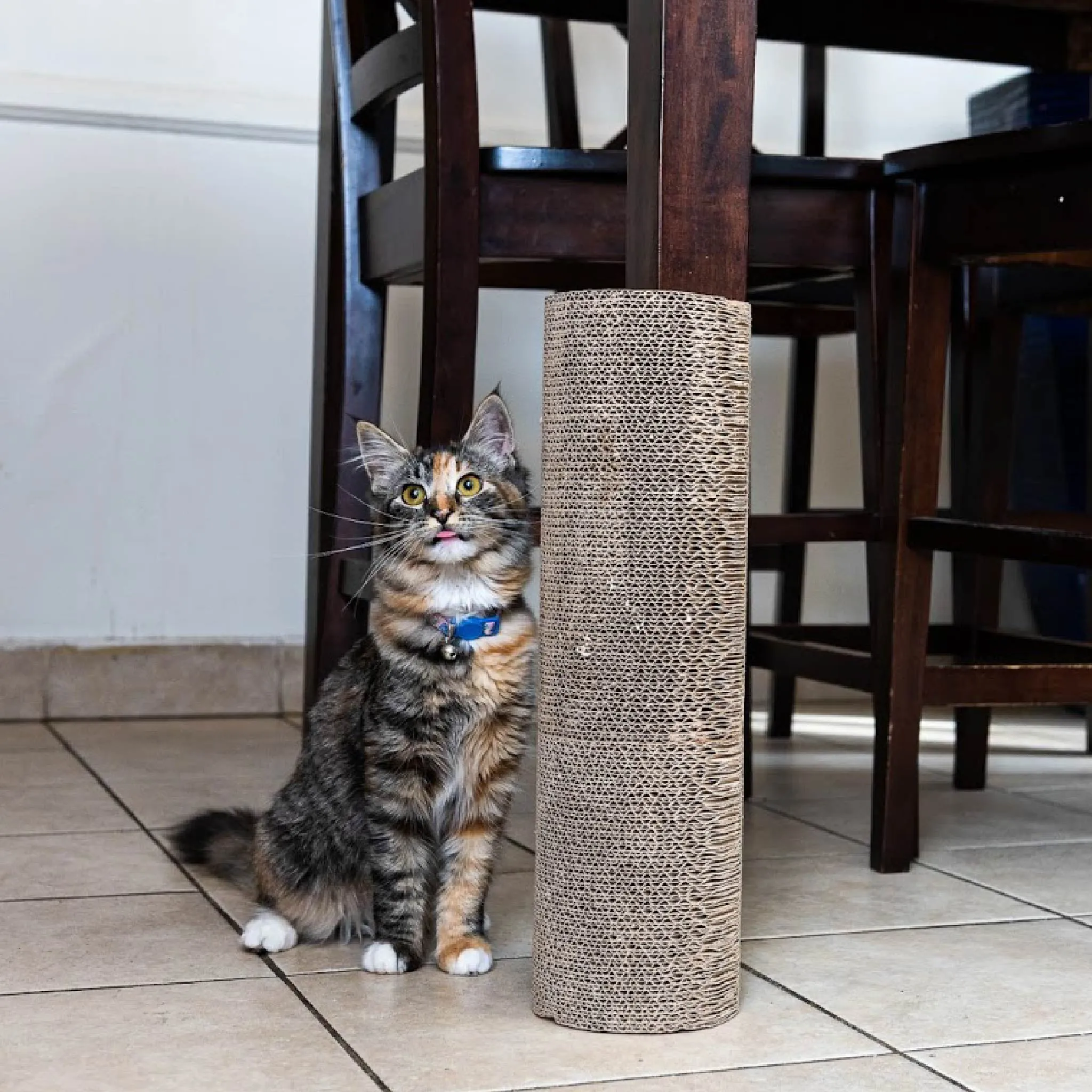 Kitty Corner Cat Scratching Post (2 Pieces): Eco-Friendly, Sustainable, Compostable, Non-Toxic, Double Stick Foam Tape Included, Durable Cardboard, Patented, for Cats