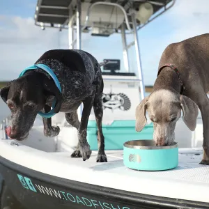 Non-Skid Dog Bowl