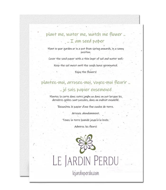 Plantable Birthday Card - Bear with Balloons