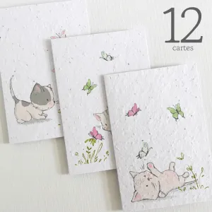 Plantable Blank Cards, set of 12 - Kittens