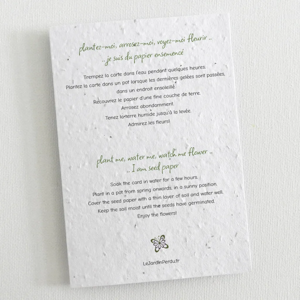 Plantable Blank Cards, set of 12 - Kittens
