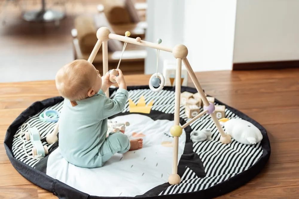 Play & Go - Play Mat - Soft Edition - Penguin