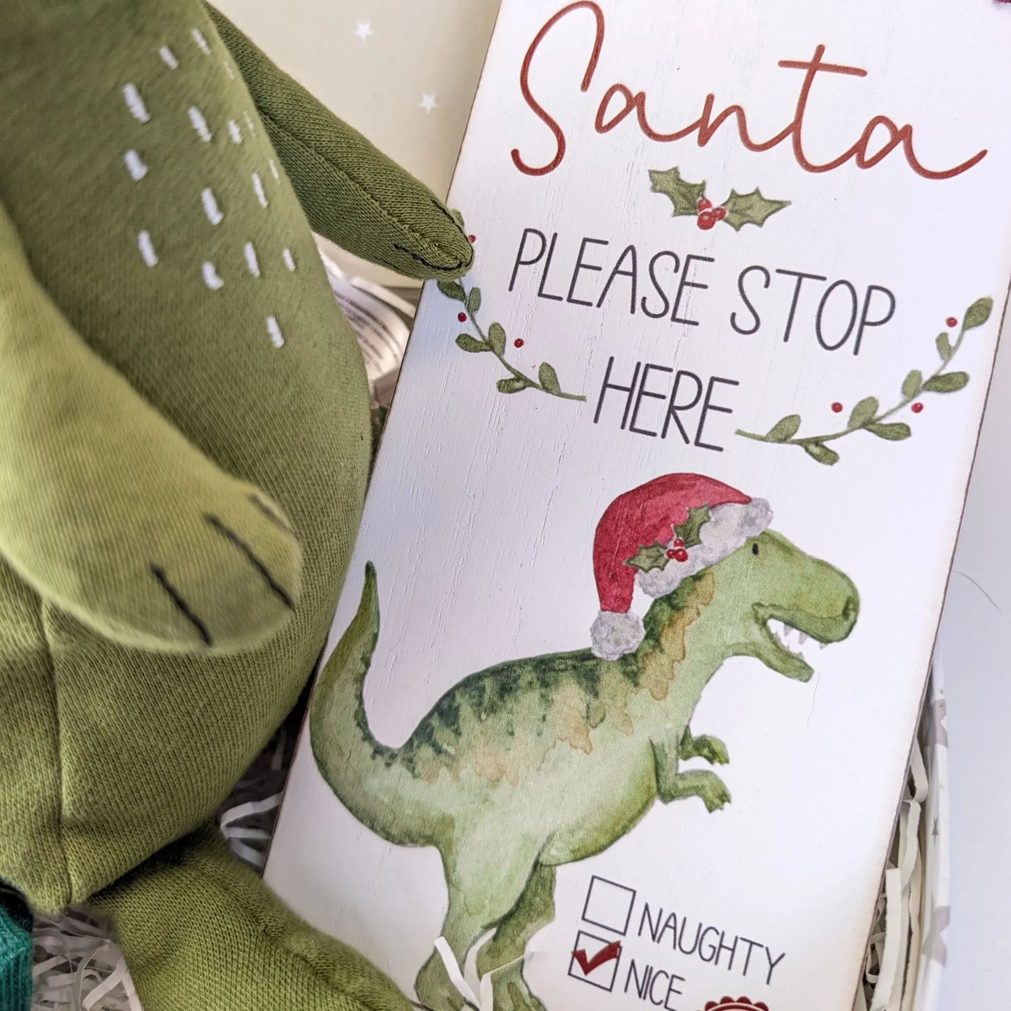 Santa Stop Here Mr Dino Baby's Christmas Gifts Trunk