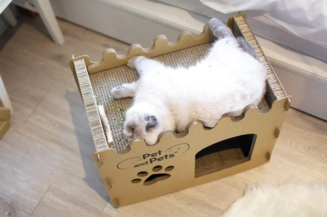 SOLD OUT - Pet and Pets Bungalow Eco Pet House