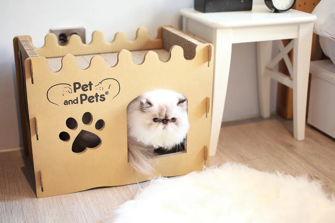 SOLD OUT - Pet and Pets Bungalow Eco Pet House