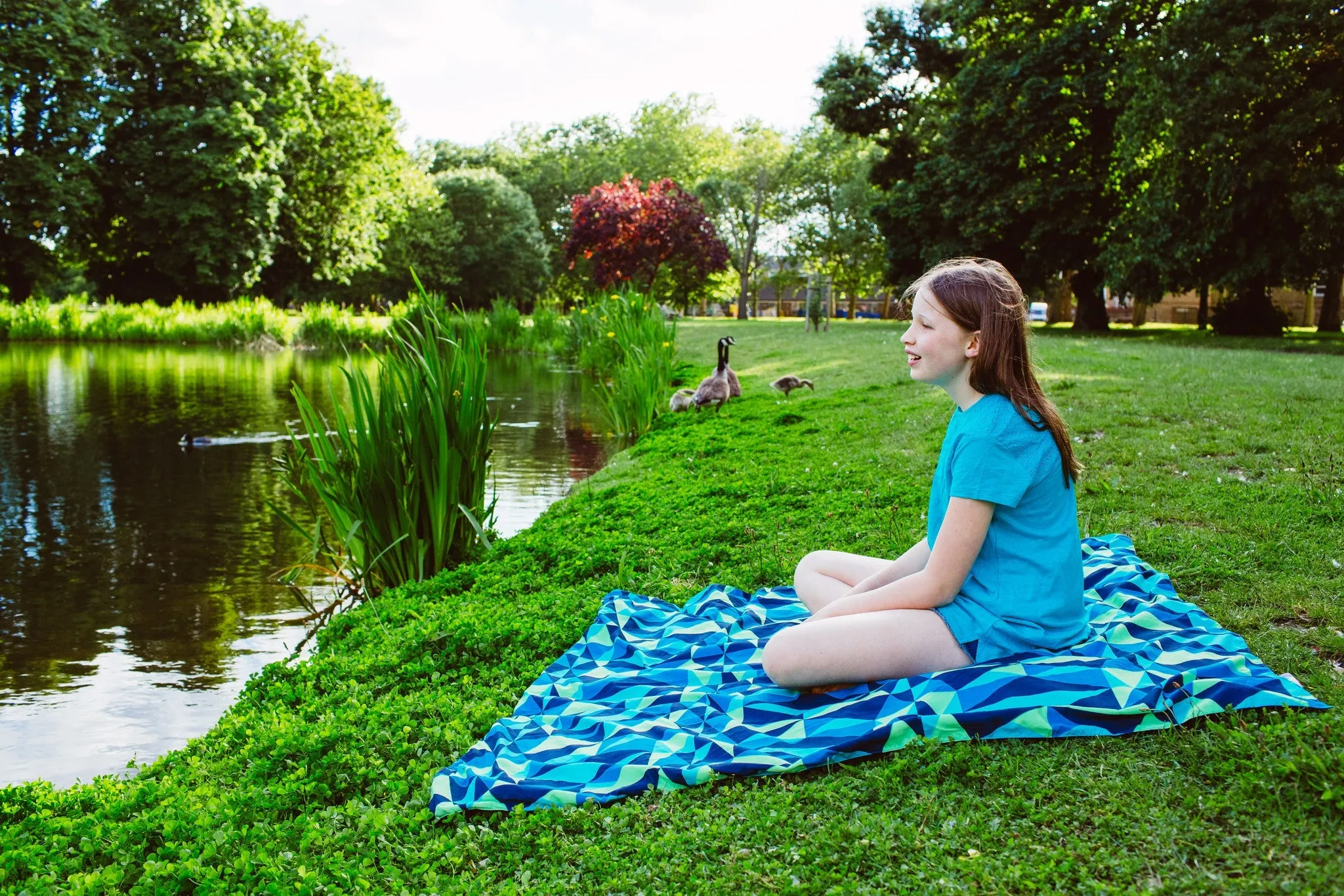Waterproof Harlequin Print Picnic Blanket, Family Size